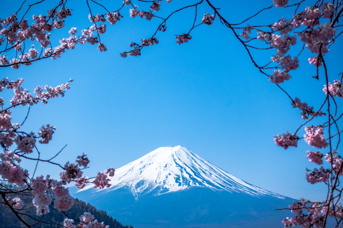 夏の快適を取り戻す空間のイメージ